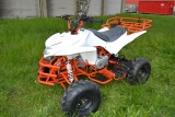 LevneMoto - ATV Goliash 110ccm