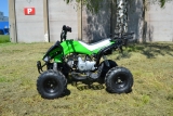 LevneMoto - ATV Raptor 110ccm 
