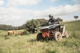 LevneMoto - ATV Segway Snarler AT10 L
