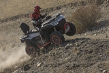 LevneMoto - ATV Segway Snarler AT10 L