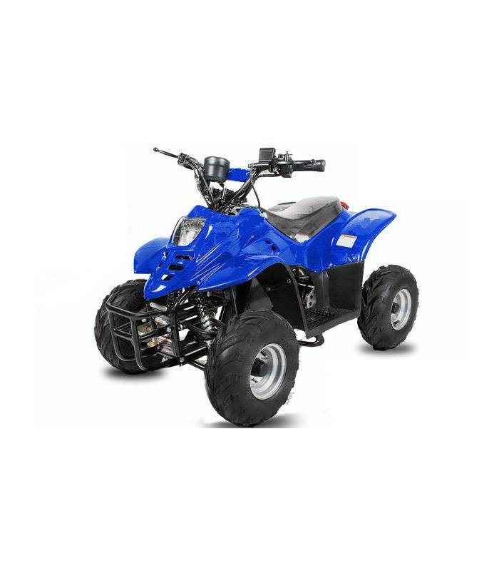 LevneMoto - Elektro čtyřkolka Sunway Barbarossa RS 800W