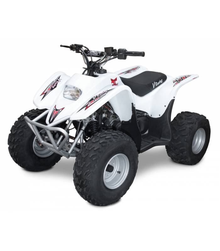 LevneMoto - Dětská čtyřkolka ACCESS DRR 100