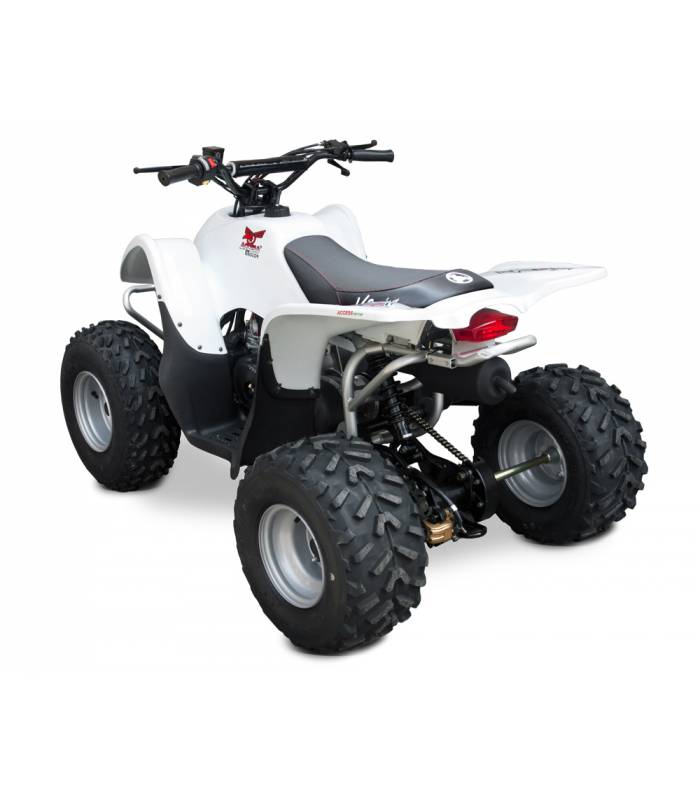 LevneMoto - Dětská čtyřkolka ACCESS DRR 100