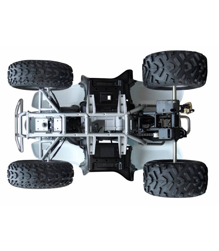 LevneMoto - Dětská čtyřkolka ACCESS DRR 100